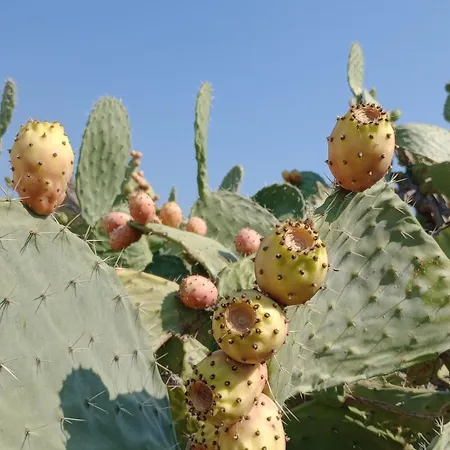 Appartement Casetta Nel Centro Storico