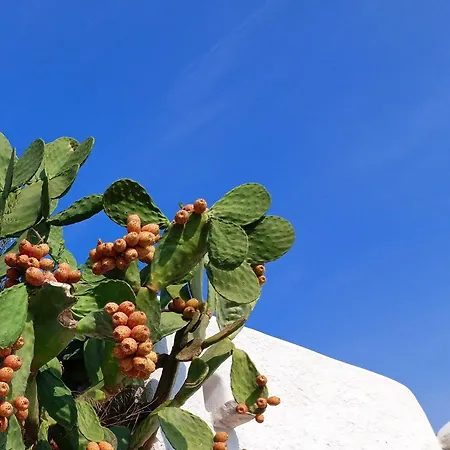 Appartement Casetta Nel Centro Storico
