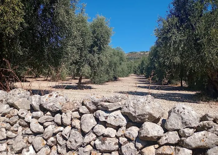 Apartment Casetta Nel Centro Storico Mattinata