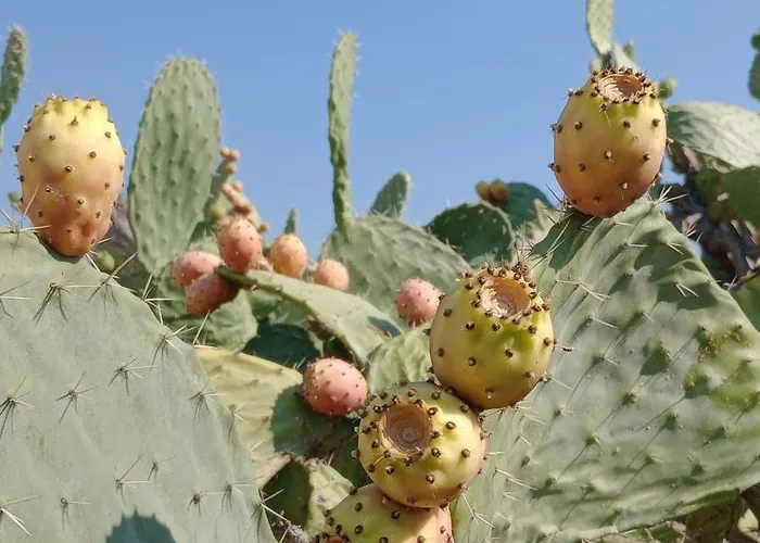 Apartment Casetta Nel Centro Storico