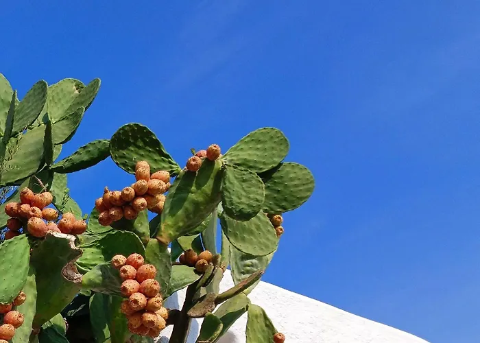 Apartment Casetta Nel Centro Storico